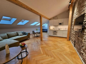 Suur-Karja Penthouse Apartment